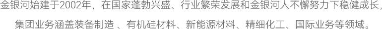 金銀河始建于2002年，在國(guó)家蓬勃興盛、行業(yè)繁榮發(fā)展和金銀河人不懈努力下穩(wěn)健成長(zhǎng)，
集團(tuán)業(yè)務(wù)涵蓋裝備制造 、有機(jī)硅材料、新能源材料、精細(xì)化工、國(guó)際業(yè)務(wù)等領(lǐng)域。
